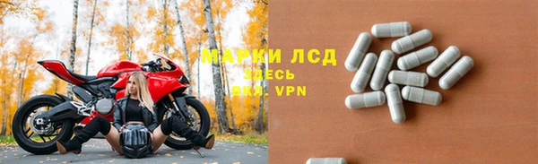хмурый Алексин