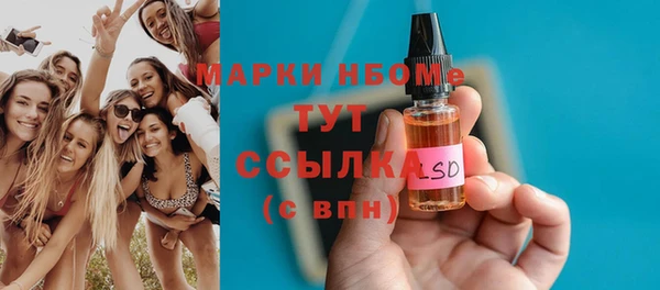 хмурый Алексин