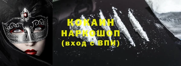 хмурый Алексин