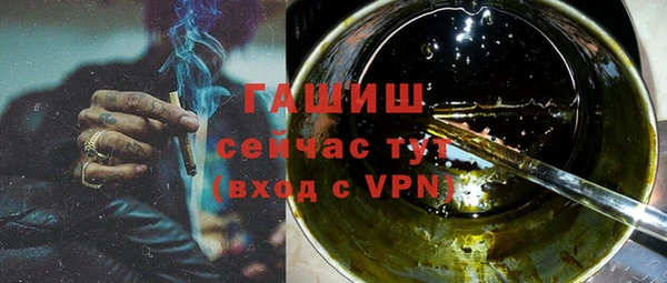 хмурый Алексин